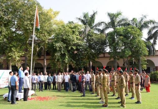 Independence Day Celebration