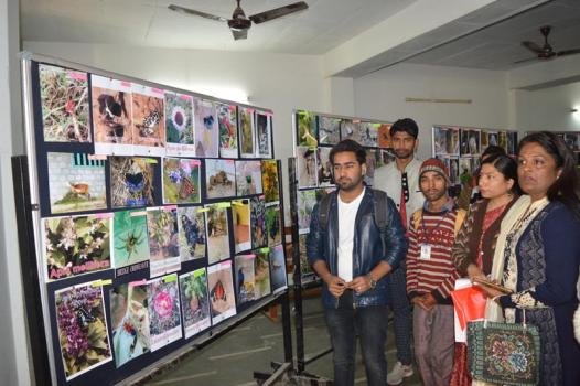 Zoology Department were organized Photography, Slogan writing, Poster Making and